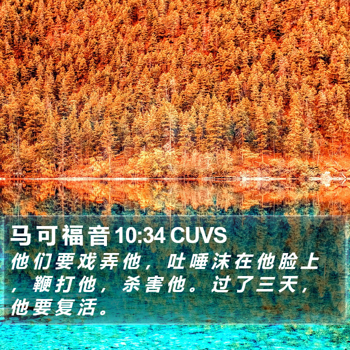 马 可 福 音 10:34 CUVS Bible Study