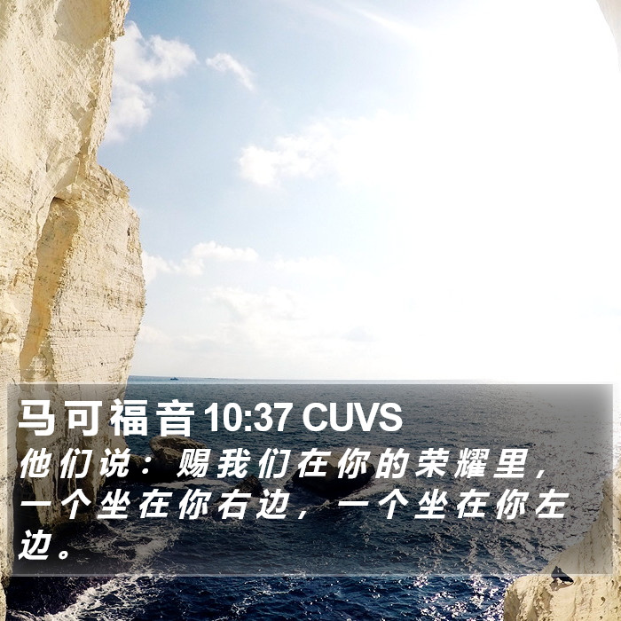 马 可 福 音 10:37 CUVS Bible Study