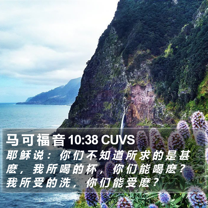 马 可 福 音 10:38 CUVS Bible Study