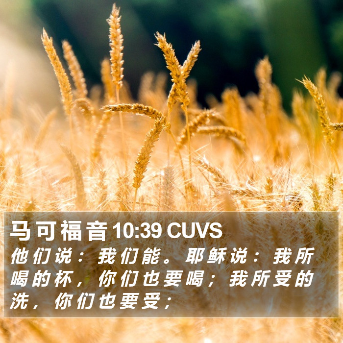 马 可 福 音 10:39 CUVS Bible Study