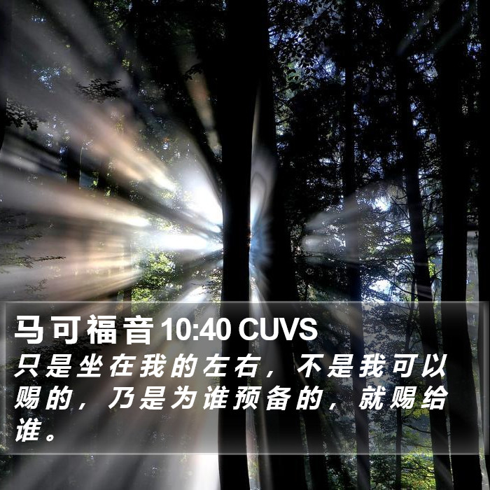 马 可 福 音 10:40 CUVS Bible Study