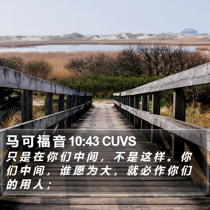 马 可 福 音 10:43 CUVS Bible Study