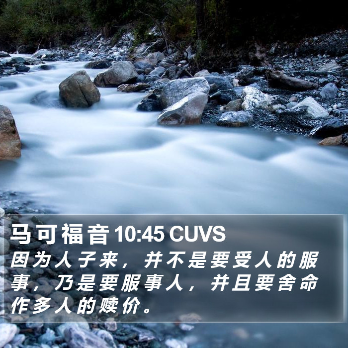 马 可 福 音 10:45 CUVS Bible Study