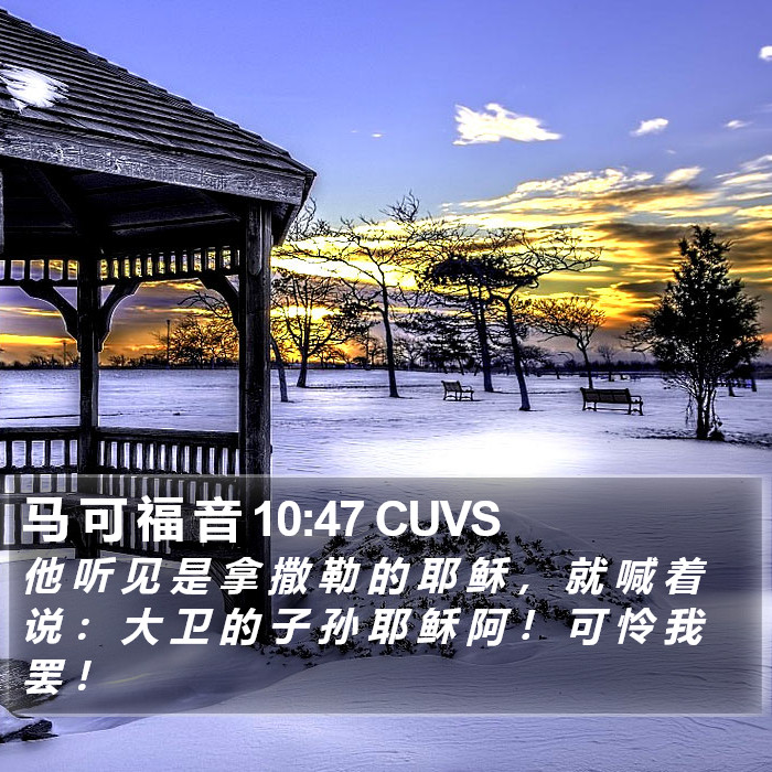 马 可 福 音 10:47 CUVS Bible Study