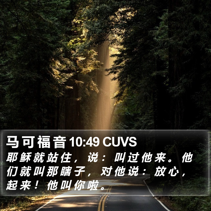 马 可 福 音 10:49 CUVS Bible Study