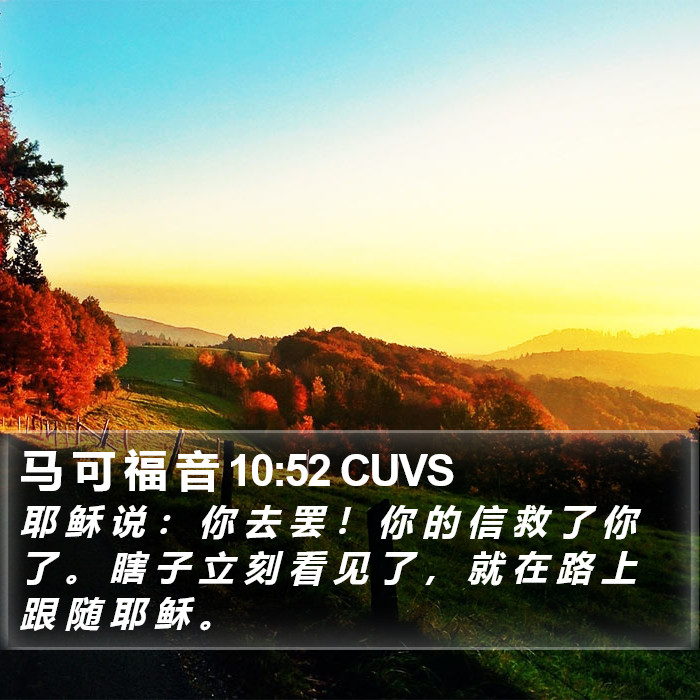 马 可 福 音 10:52 CUVS Bible Study