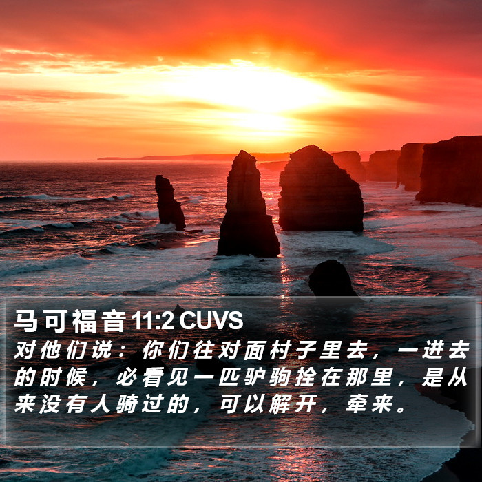 马 可 福 音 11:2 CUVS Bible Study