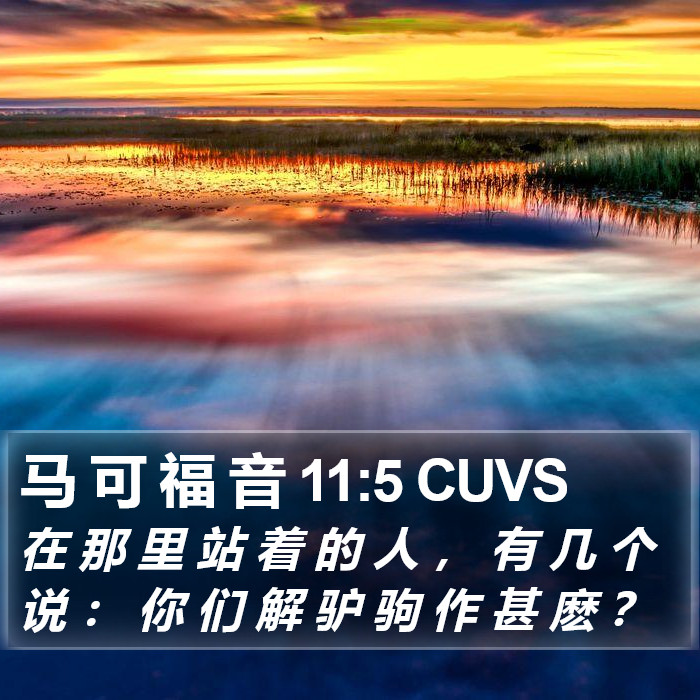 马 可 福 音 11:5 CUVS Bible Study