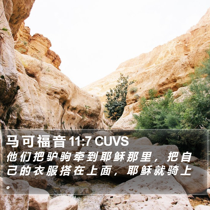 马 可 福 音 11:7 CUVS Bible Study