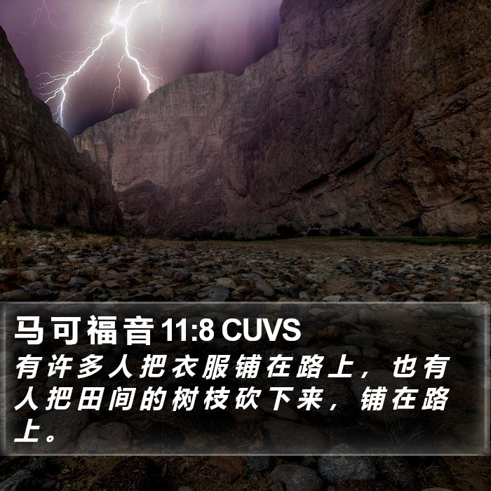 马 可 福 音 11:8 CUVS Bible Study