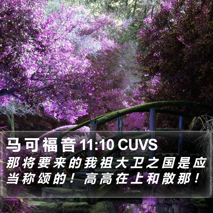 马 可 福 音 11:10 CUVS Bible Study