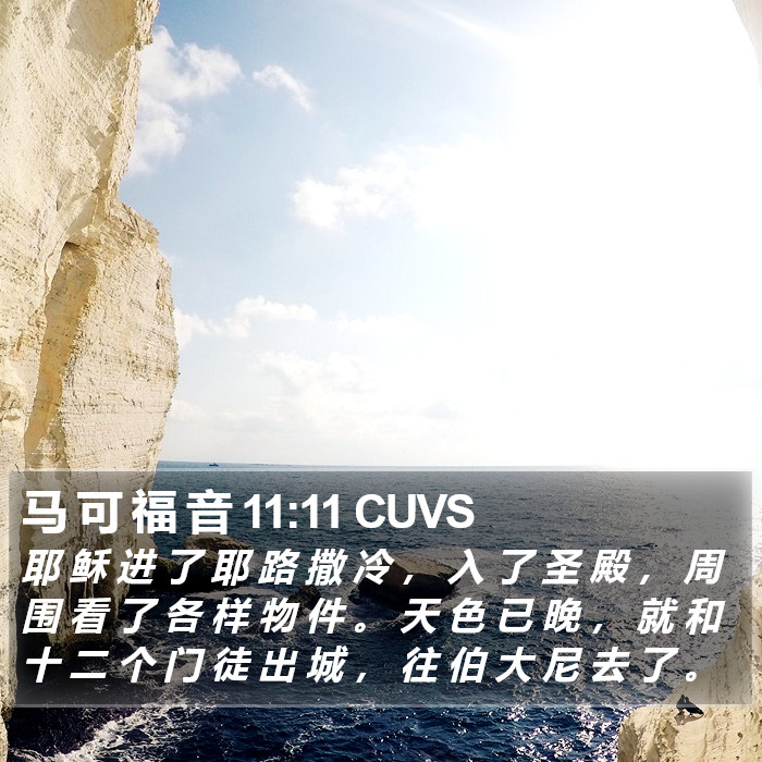 马 可 福 音 11:11 CUVS Bible Study