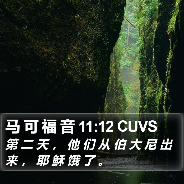 马 可 福 音 11:12 CUVS Bible Study