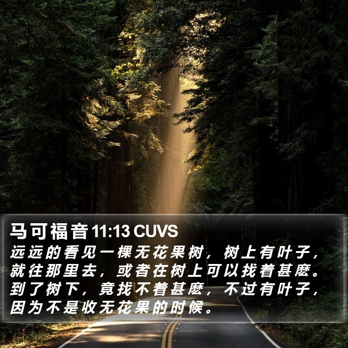 马 可 福 音 11:13 CUVS Bible Study