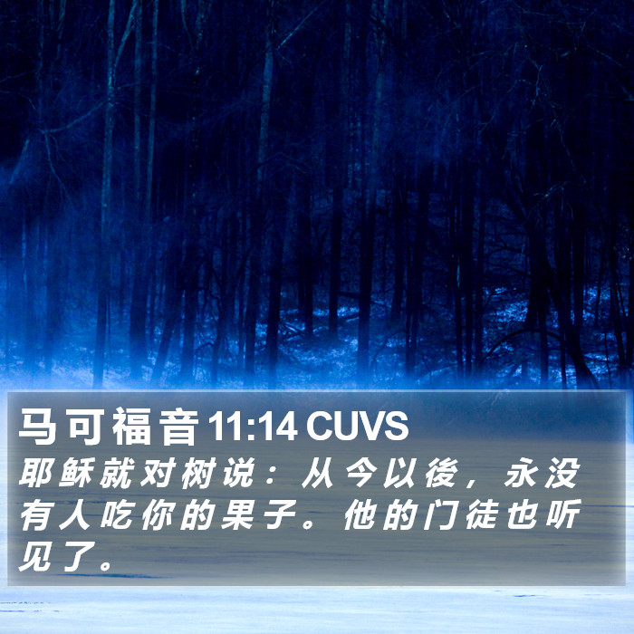 马 可 福 音 11:14 CUVS Bible Study