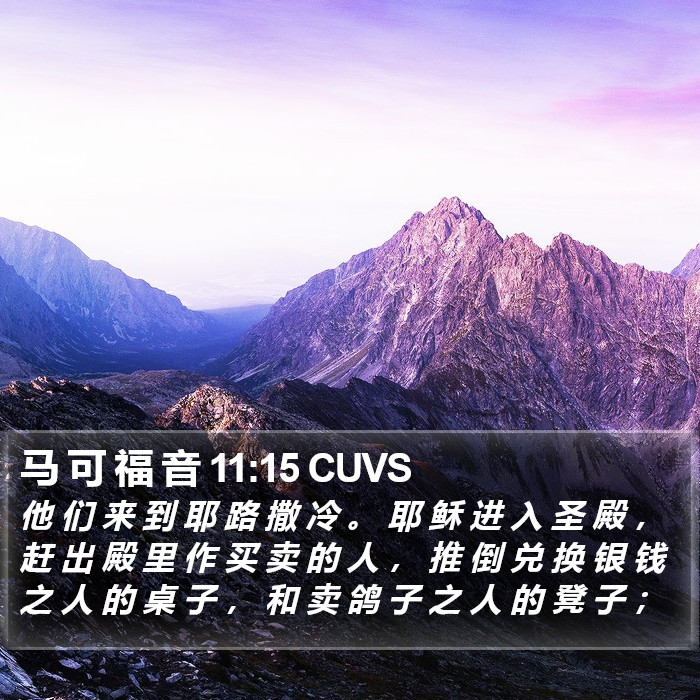 马 可 福 音 11:15 CUVS Bible Study