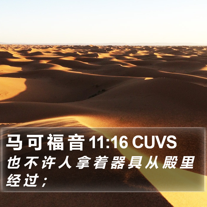 马 可 福 音 11:16 CUVS Bible Study