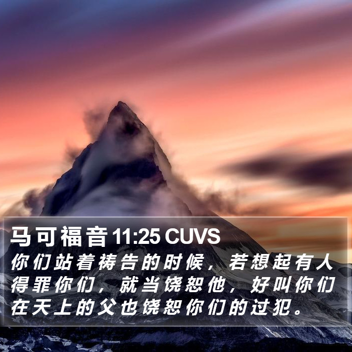 马 可 福 音 11:25 CUVS Bible Study