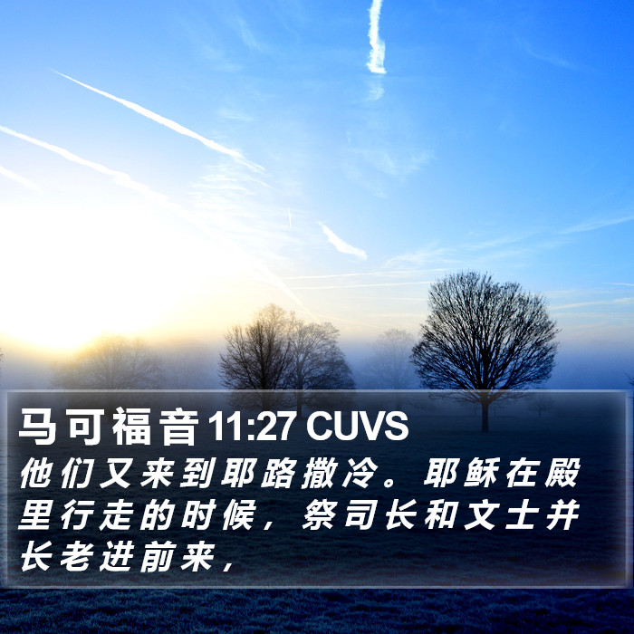 马 可 福 音 11:27 CUVS Bible Study