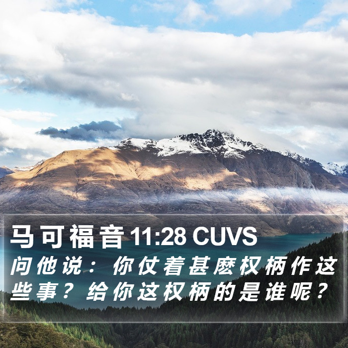 马 可 福 音 11:28 CUVS Bible Study