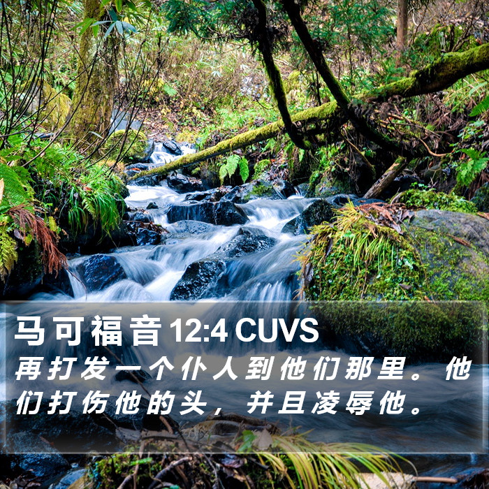 马 可 福 音 12:4 CUVS Bible Study