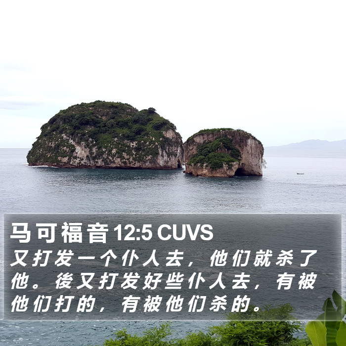 马 可 福 音 12:5 CUVS Bible Study