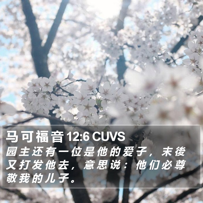 马 可 福 音 12:6 CUVS Bible Study