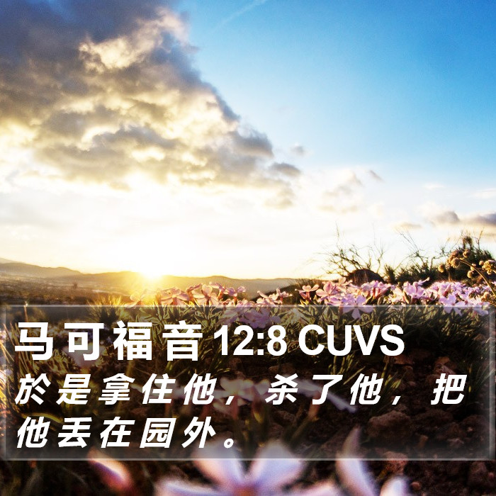 马 可 福 音 12:8 CUVS Bible Study