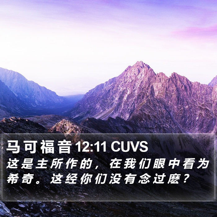 马 可 福 音 12:11 CUVS Bible Study