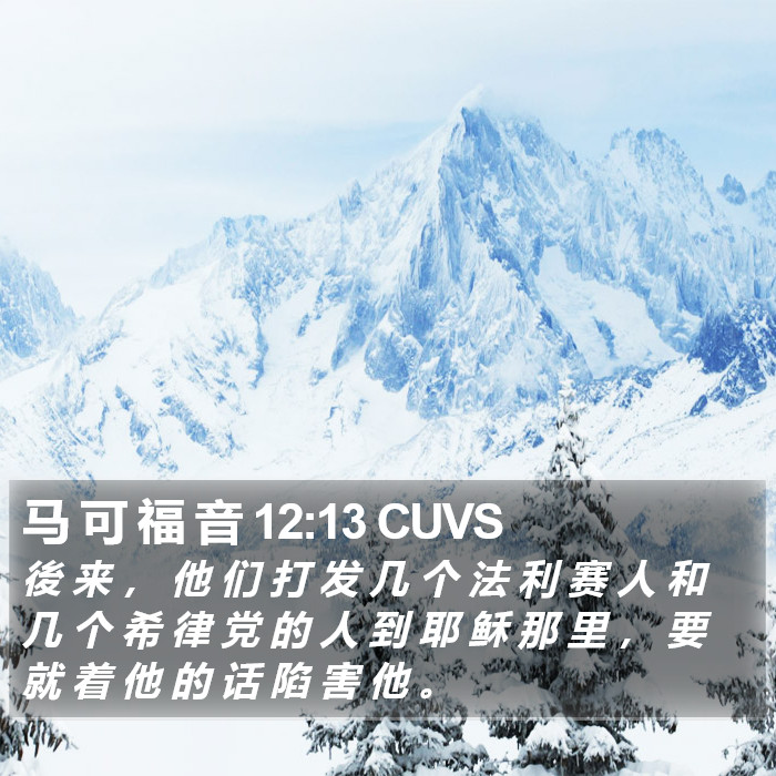 马 可 福 音 12:13 CUVS Bible Study