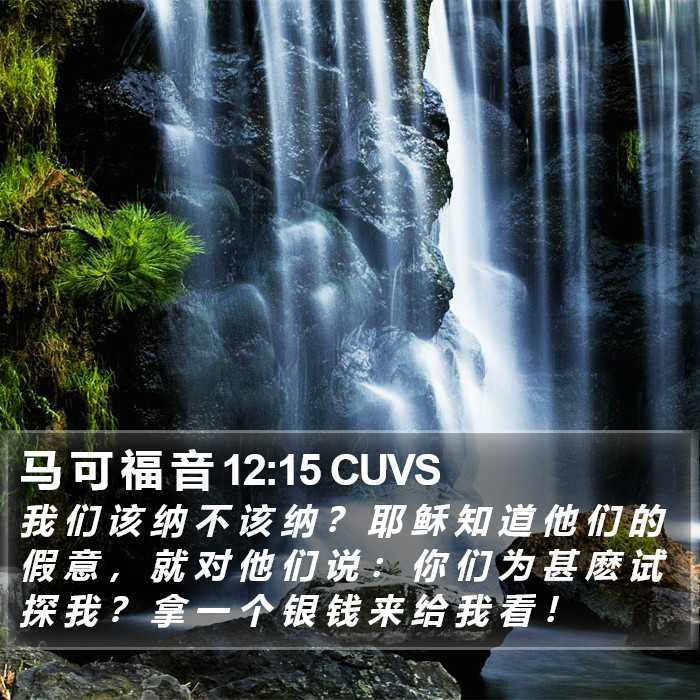 马 可 福 音 12:15 CUVS Bible Study