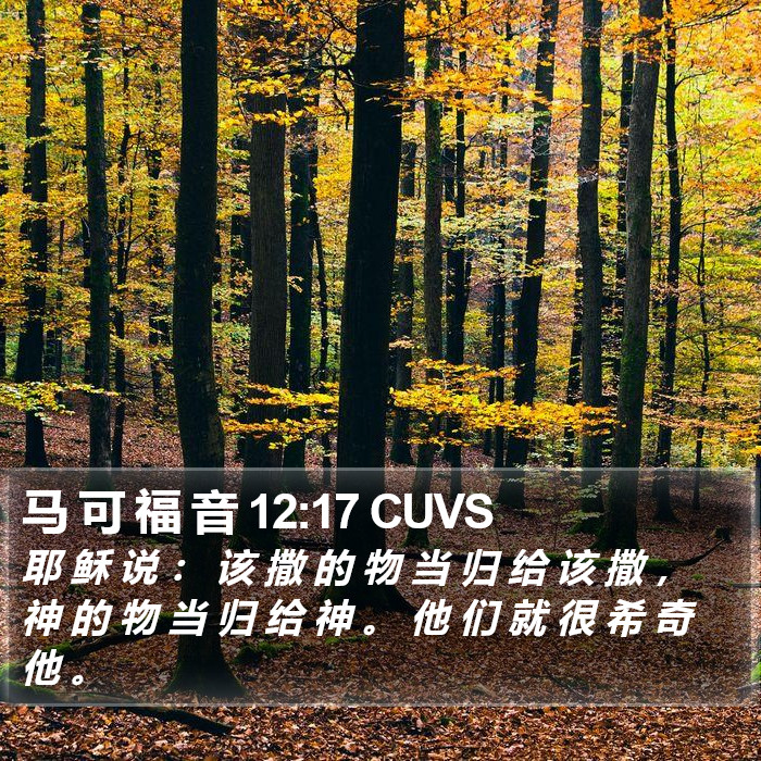 马 可 福 音 12:17 CUVS Bible Study