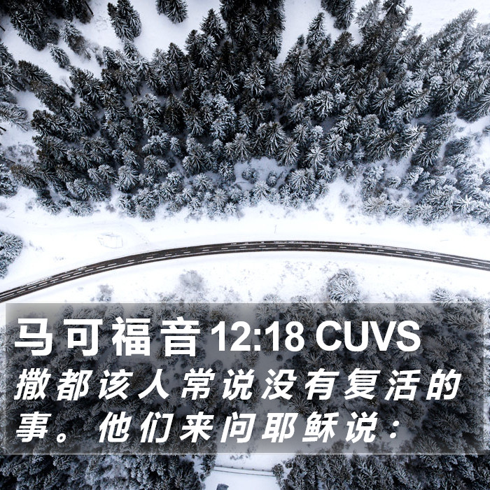 马 可 福 音 12:18 CUVS Bible Study