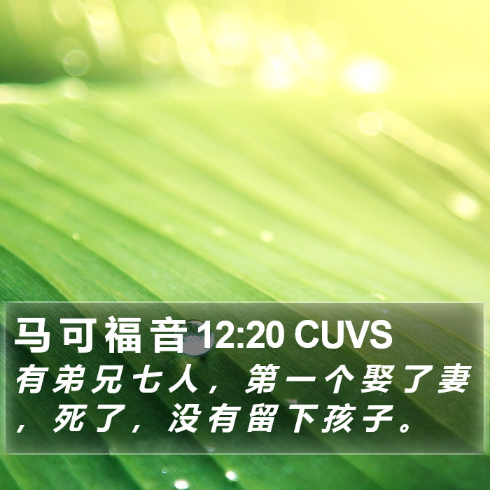 马 可 福 音 12:20 CUVS Bible Study