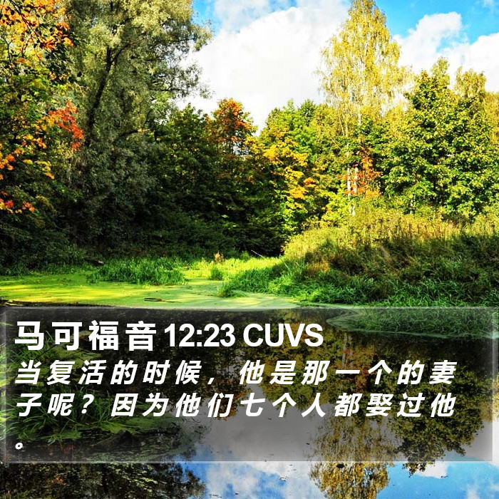 马 可 福 音 12:23 CUVS Bible Study