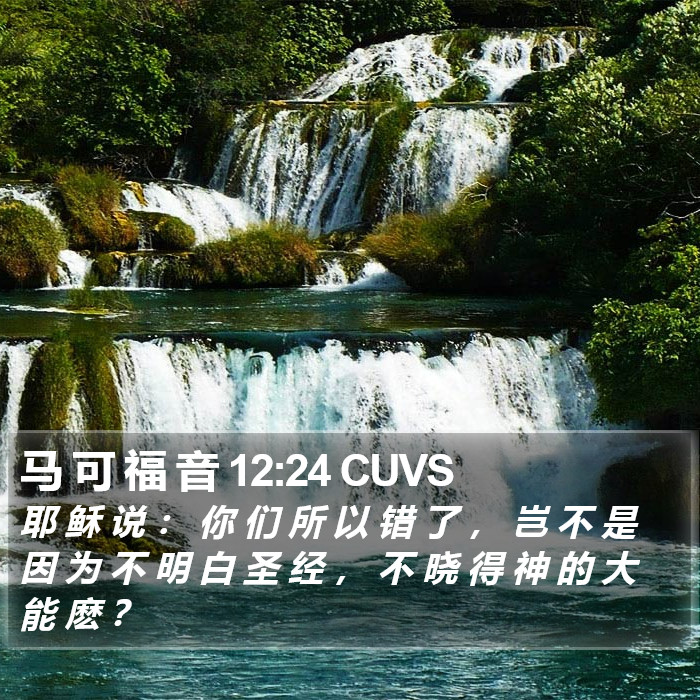 马 可 福 音 12:24 CUVS Bible Study