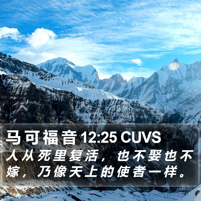 马 可 福 音 12:25 CUVS Bible Study