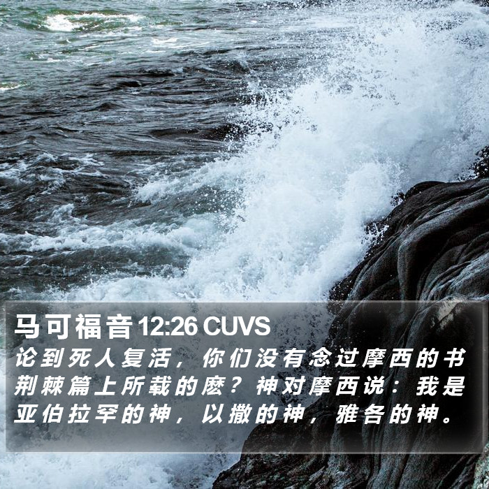 马 可 福 音 12:26 CUVS Bible Study