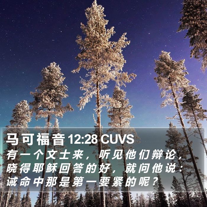 马 可 福 音 12:28 CUVS Bible Study