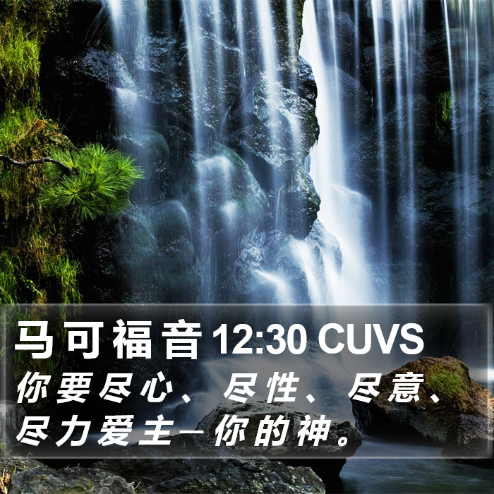 马 可 福 音 12:30 CUVS Bible Study