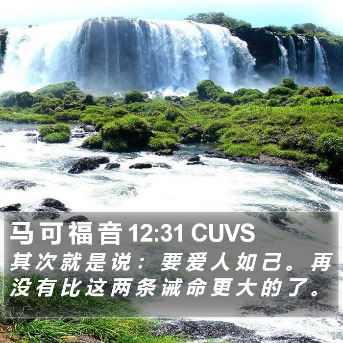 马 可 福 音 12:31 CUVS Bible Study