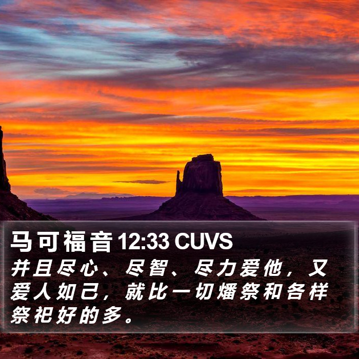 马 可 福 音 12:33 CUVS Bible Study