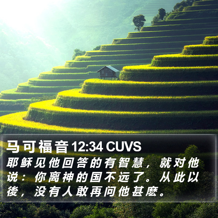 马 可 福 音 12:34 CUVS Bible Study