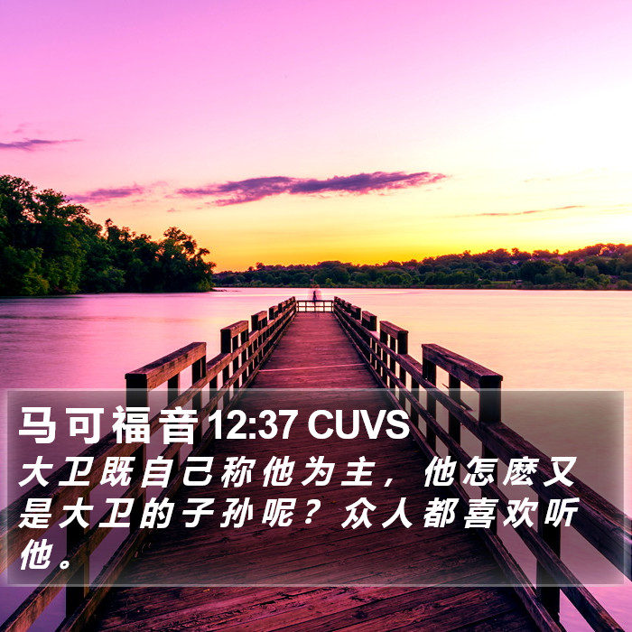 马 可 福 音 12:37 CUVS Bible Study