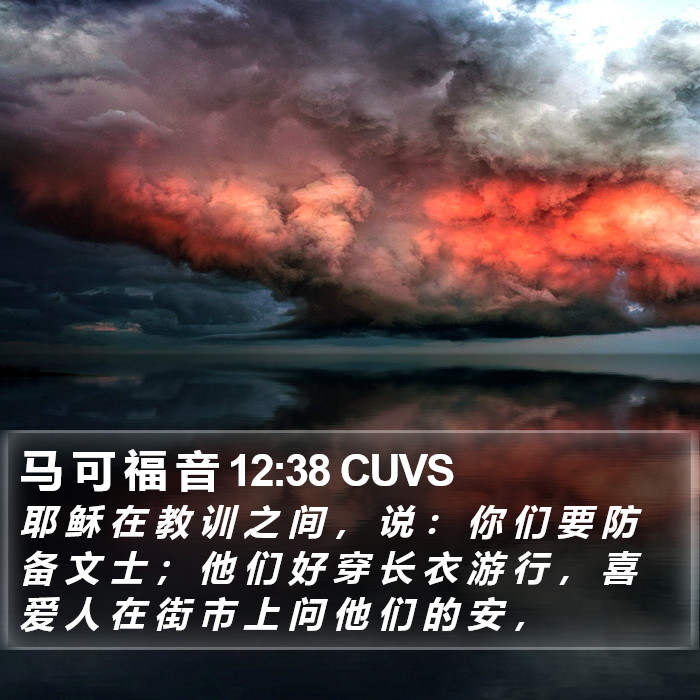 马 可 福 音 12:38 CUVS Bible Study