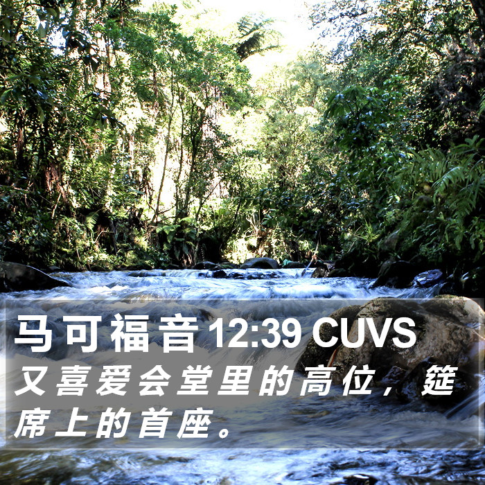 马 可 福 音 12:39 CUVS Bible Study