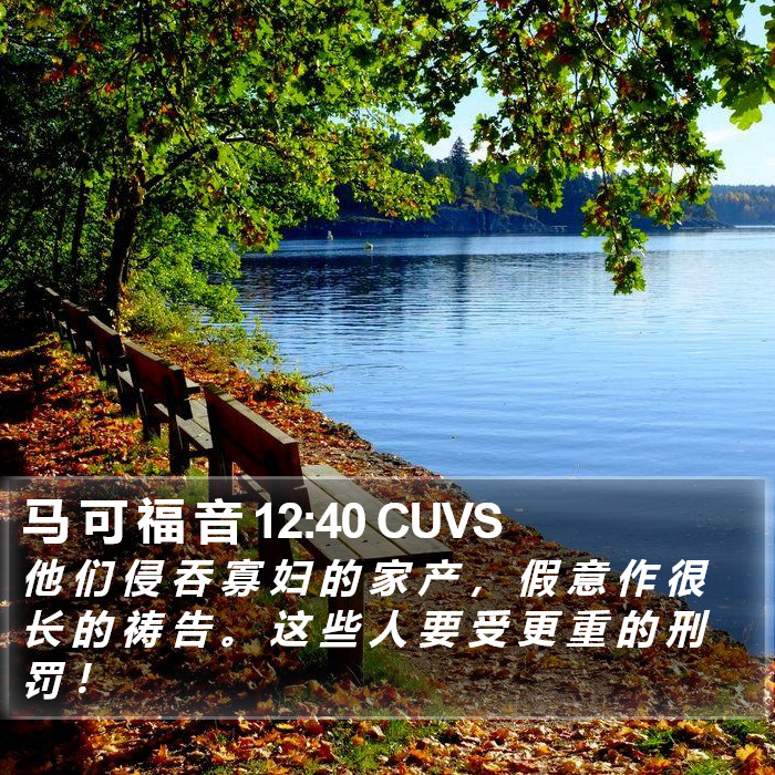 马 可 福 音 12:40 CUVS Bible Study