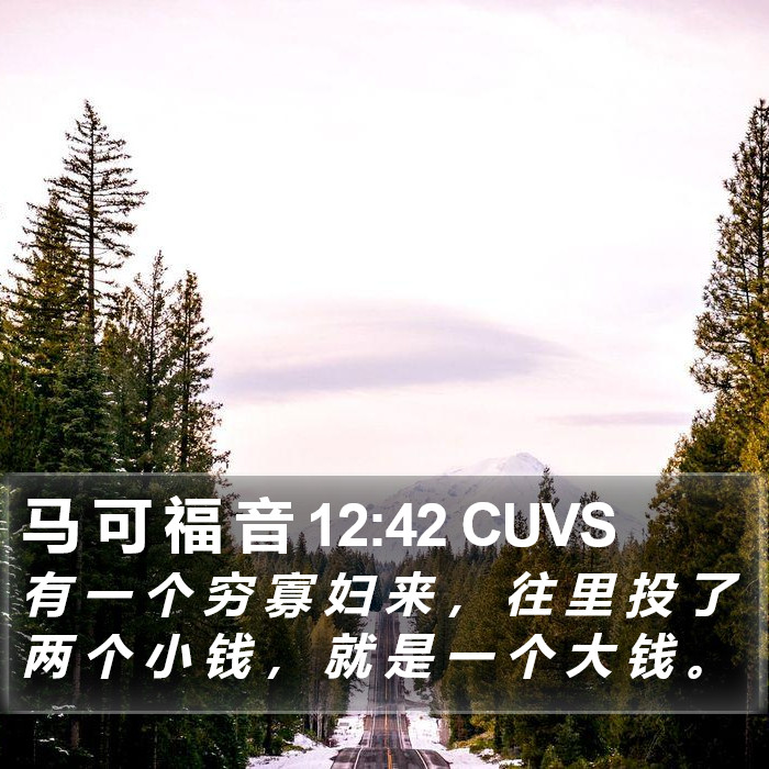 马 可 福 音 12:42 CUVS Bible Study