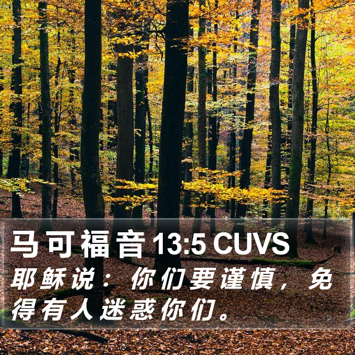 马 可 福 音 13:5 CUVS Bible Study