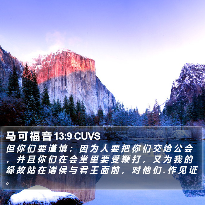 马 可 福 音 13:9 CUVS Bible Study